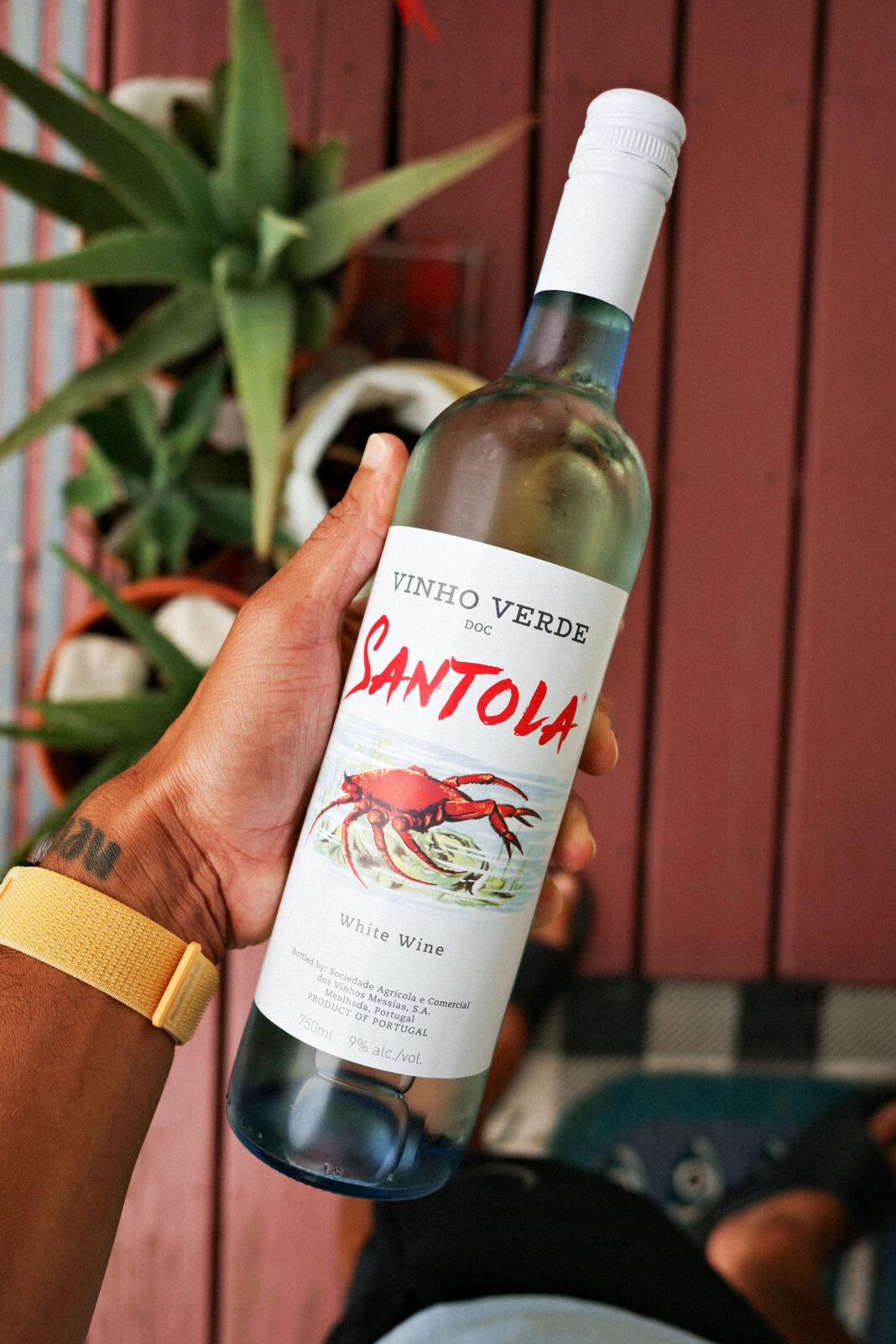 036-vinos6